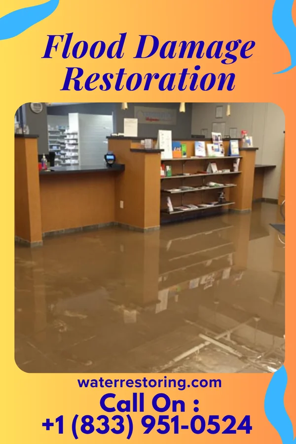 Flood Damage Restoration in Shafer, MN